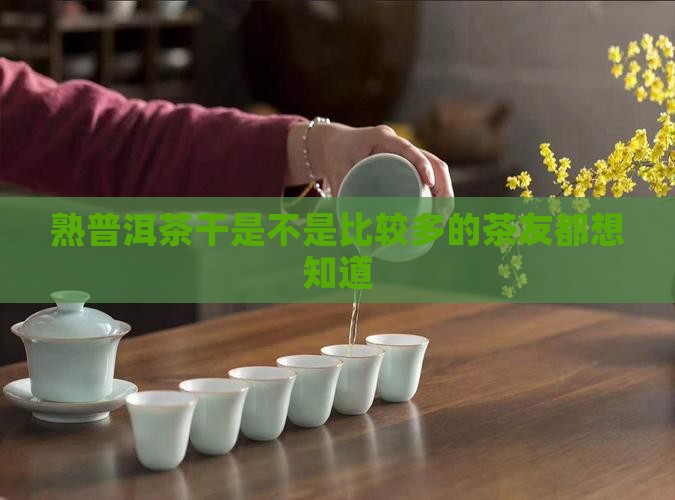 熟普洱茶干是不是比较多