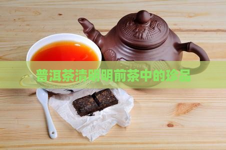 普洱茶分清明茶