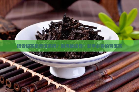 晒青绿茶是普洱茶吗