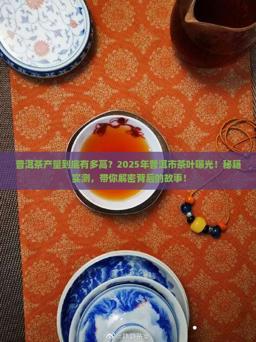 普洱市的普洱茶产量