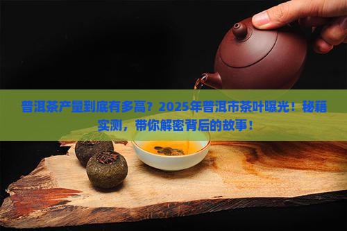 普洱市的普洱茶产量