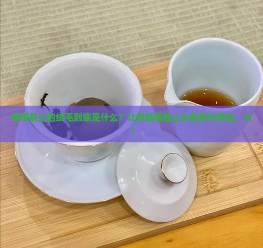 普洱茶上有绒毛