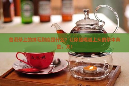 普洱茶上有绒毛
