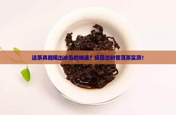 极品古树冰岛普洱茶