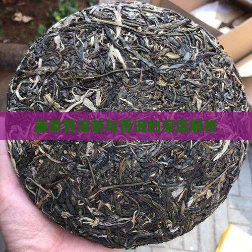 藤条把茶普洱茶