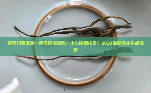 青枣和普洱茶一起泡吗能喝吗