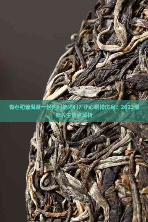 青枣和普洱茶一起泡吗能喝吗