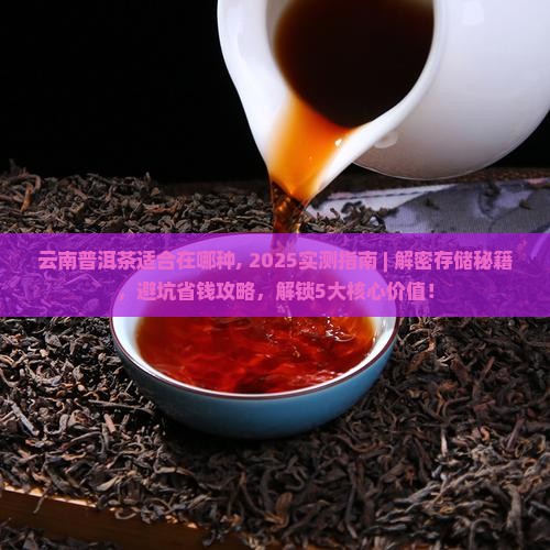 云南普洱茶适合在哪种