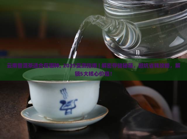 云南普洱茶适合在哪种