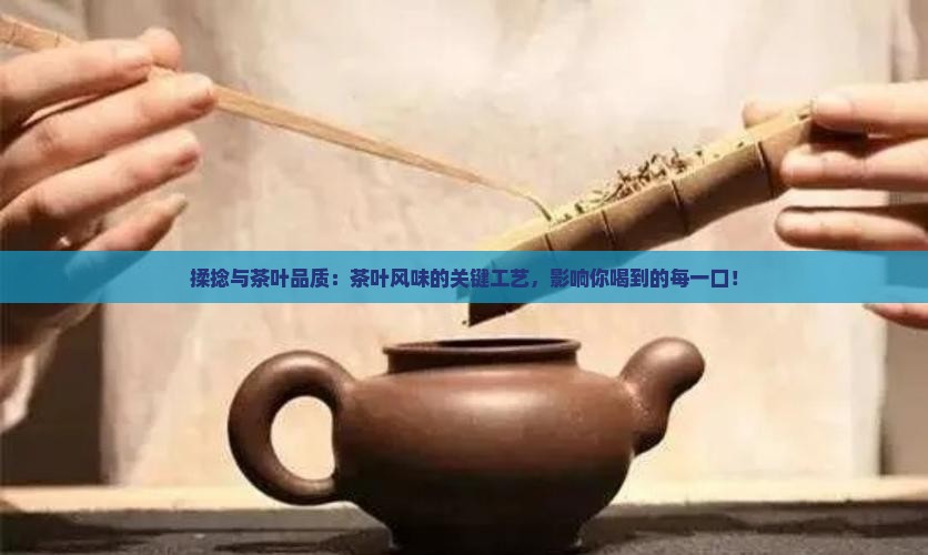 揉捻与茶叶品质