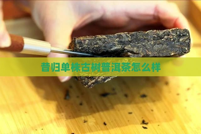 昔归单株瓜茶怎么样