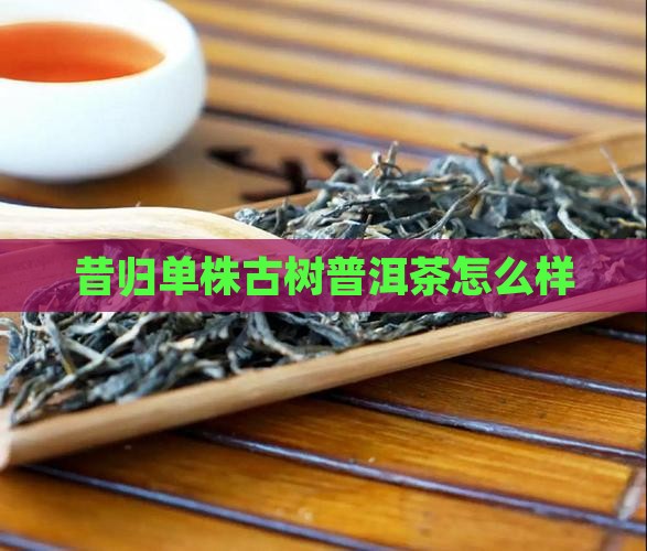 昔归单株瓜茶怎么样