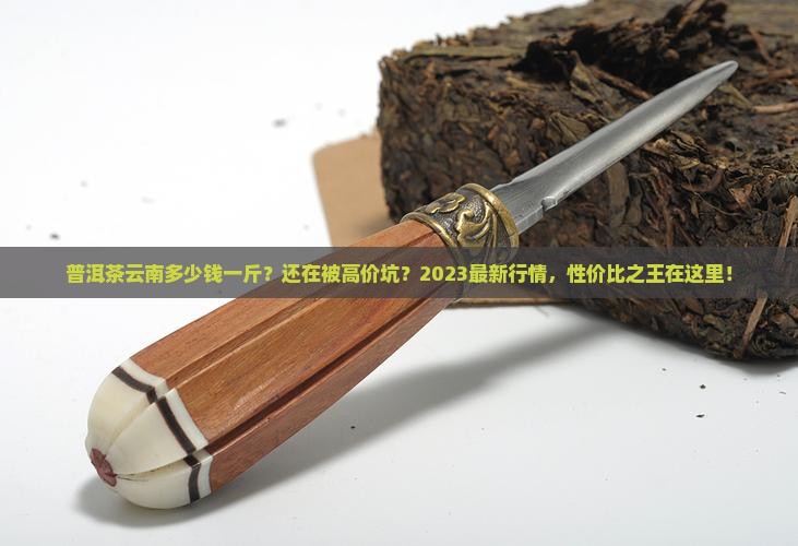 普洱茶云南多少钱一斤