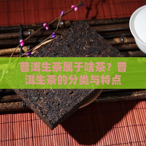 普洱生茶属于啥茶