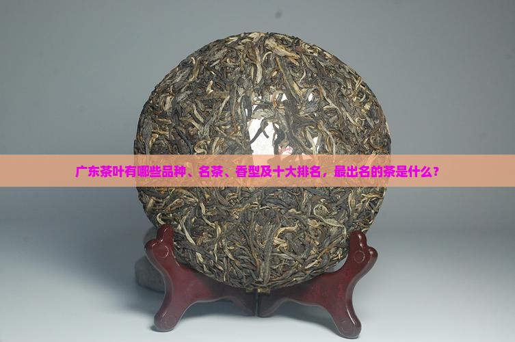 广东茶叶有哪些