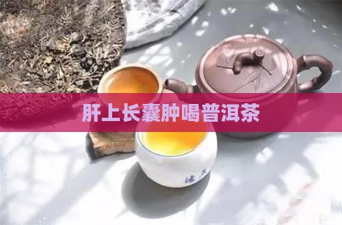 肝上长囊肿喝普洱茶