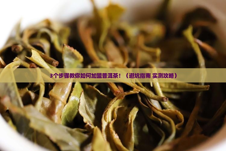 沈阳加盟普洱茶流程
