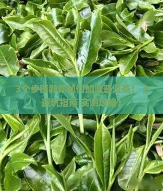 沈阳加盟普洱茶流程