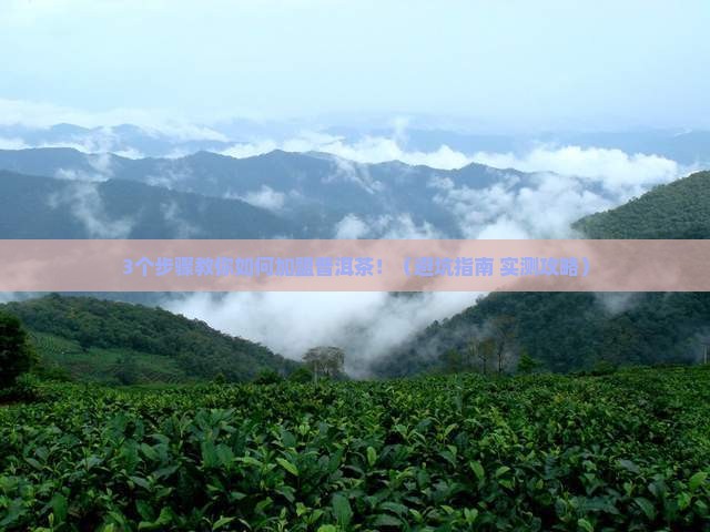 沈阳加盟普洱茶流程