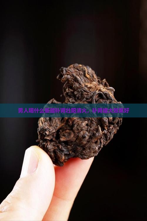 男人喝什么茶能补肾