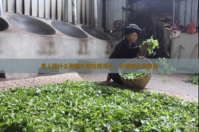 男人喝什么茶能补肾