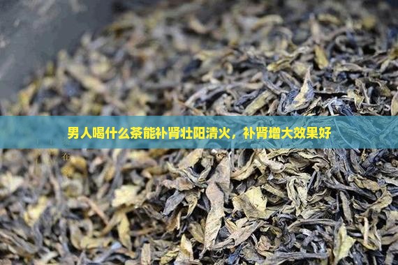 男人喝什么茶能补肾