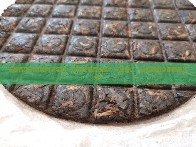 云南普洱茶大渡岗宋宇豪