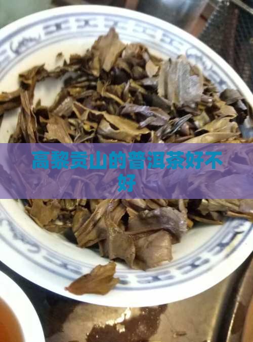 高黎贡山的普洱茶好不好