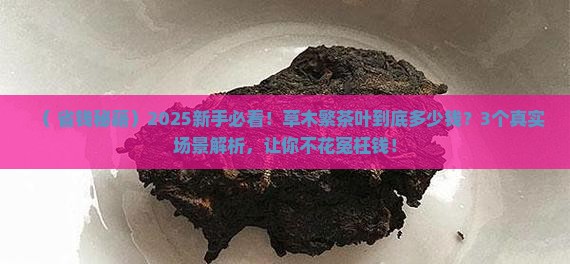 草木繁茶叶多少钱