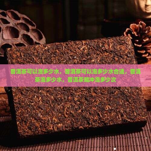 普洱茶可以泡多少水