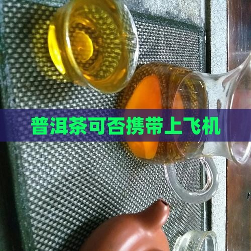 普洱茶可否泡好携带