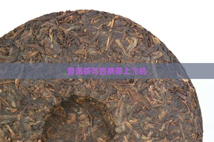 普洱茶可否泡好携带