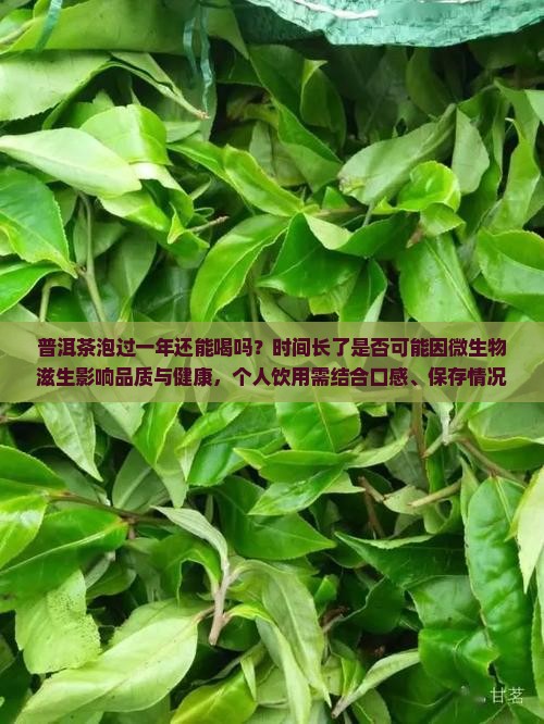 普洱茶泡过一年还能喝吗