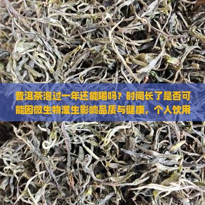普洱茶泡过一年还能喝吗