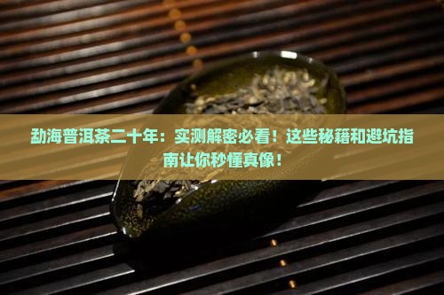 勐海普洱茶二十年