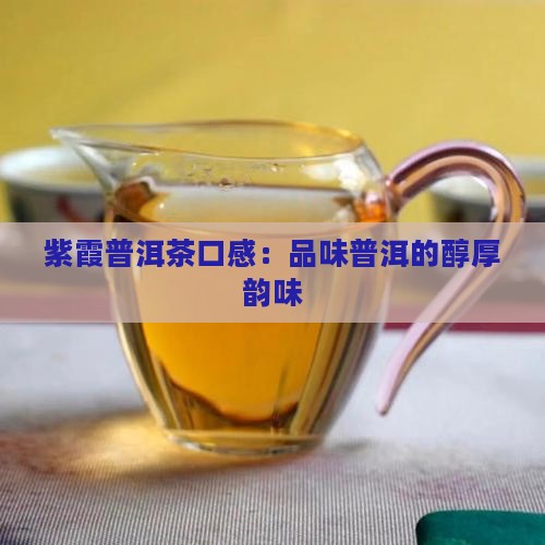 紫霞普洱茶口感