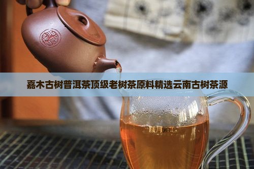 嘉木古树普洱茶