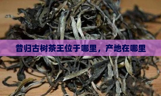 昔归古树茶王位于哪里