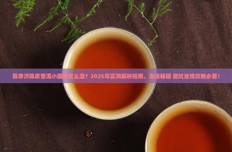 陈李济陈皮普洱小罐茶怎么泡