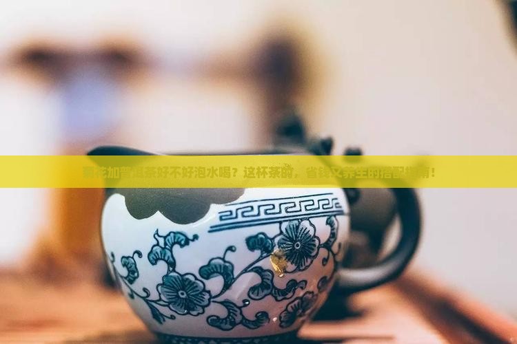 菊花加普洱茶好不好泡水喝