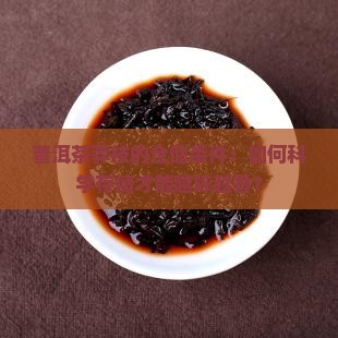 普洱茶莽枝的仓储条件