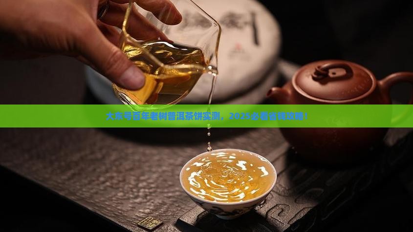 大东号百年老树普洱茶饼