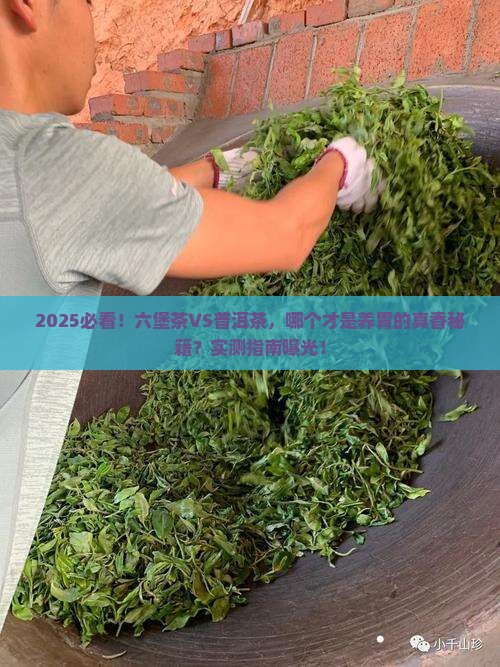 六堡茶和普洱茶哪个更养胃