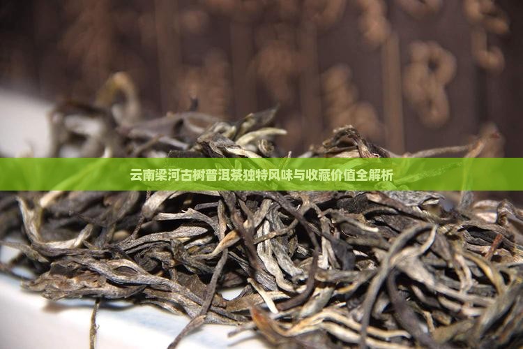 云南梁河古树普洱茶
