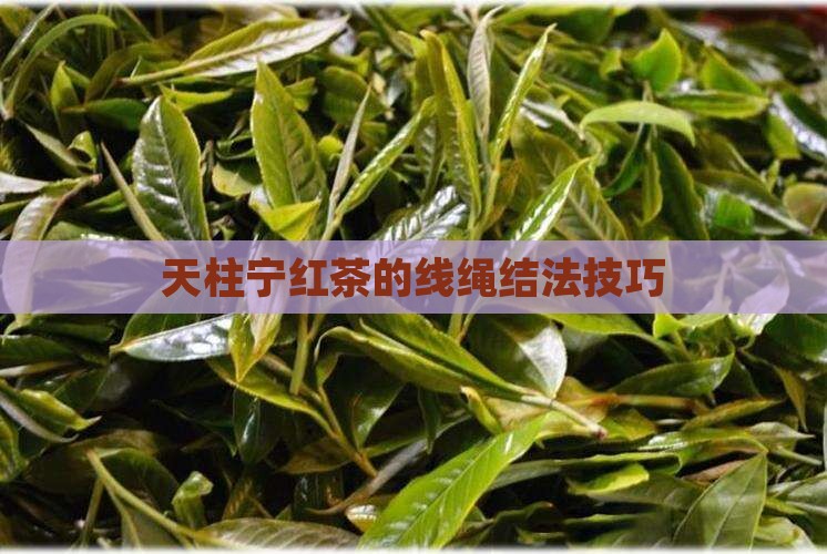 梁天柱宁红茶的线绳怎么结