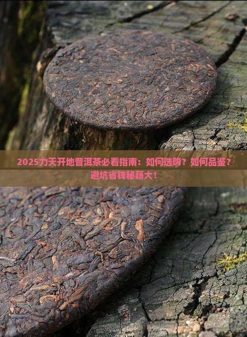 力天开地普洱茶