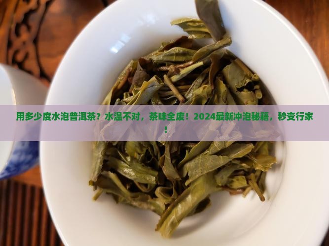 用多少度水泡普洱茶