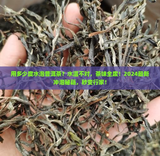 用多少度水泡普洱茶