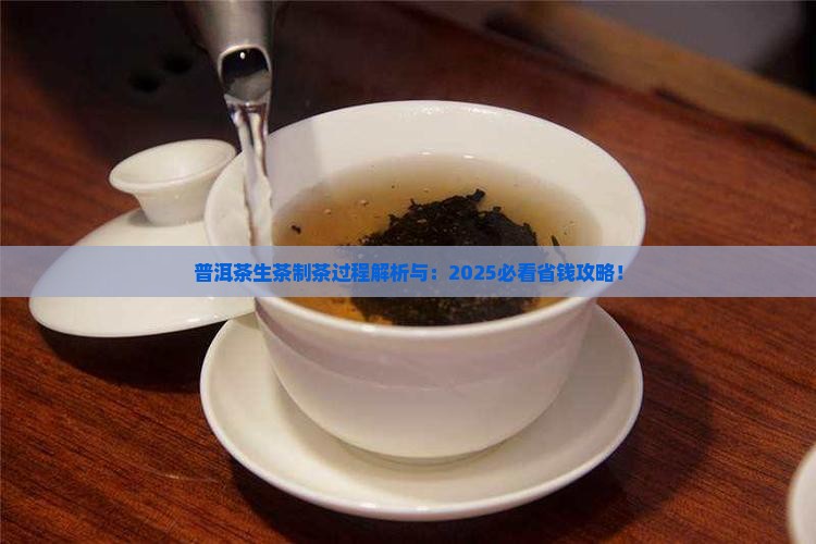 普洱茶生茶制茶过程