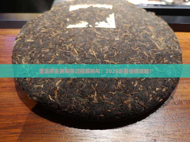 普洱茶生茶制茶过程